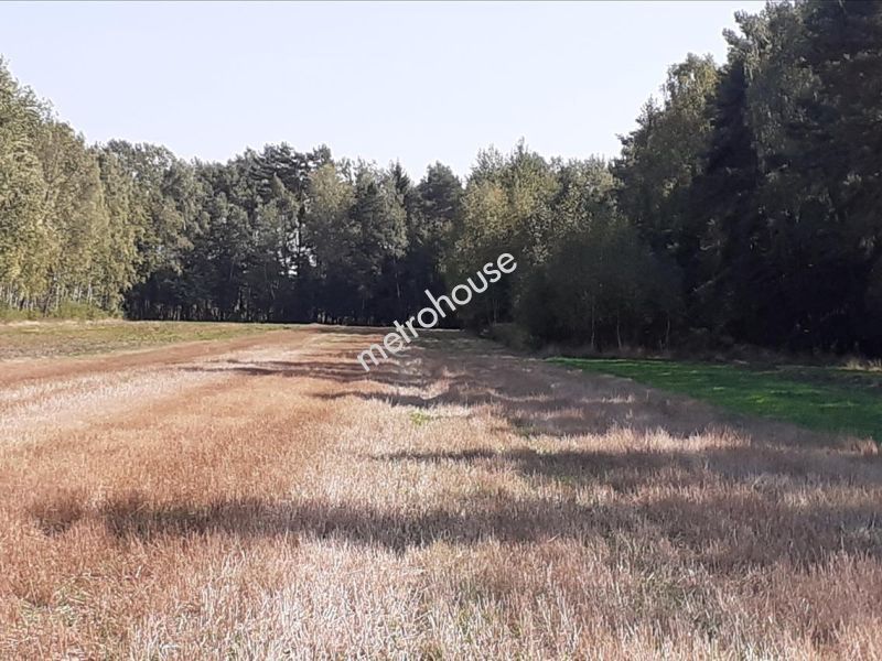 Działka na sprzedaż, Siedlecki, Dobrzanów