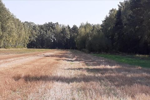 Sprzedaż Działka Dobrzanów, pow. siedlecki