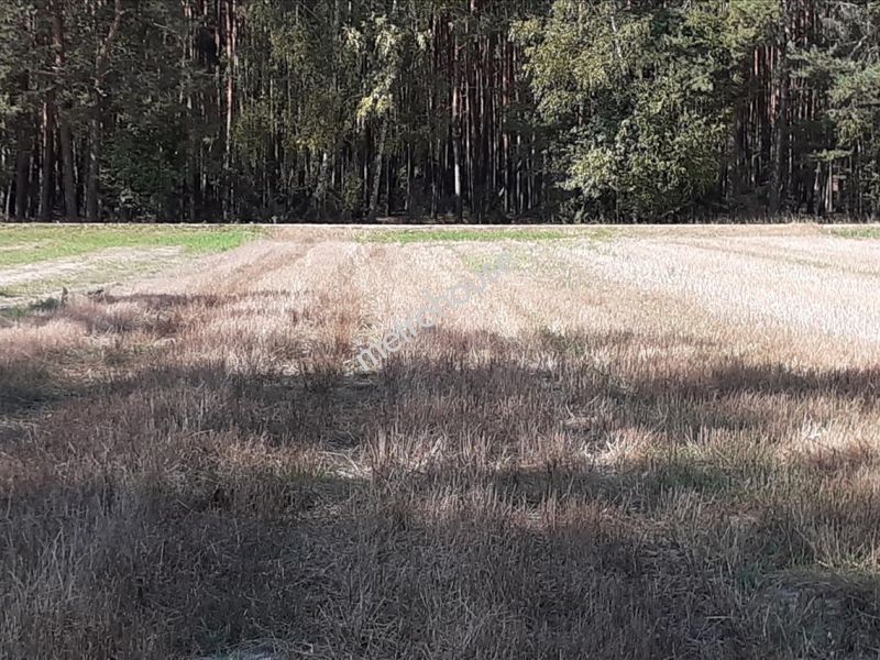 Działka na sprzedaż, Siedlecki, Dobrzanów