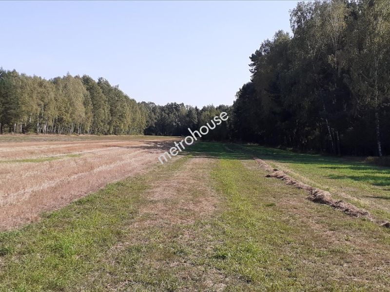 Działka na sprzedaż, Siedlecki, Dobrzanów