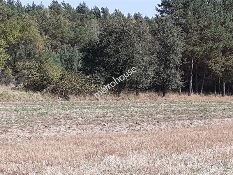 Działka na sprzedaż, Siedlecki, Dobrzanów