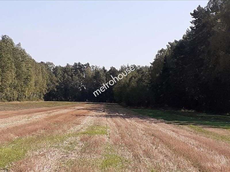 Działka na sprzedaż, Siedlecki, Dobrzanów