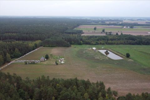 Sprzedaż Działka Płociczno, pow. żuromiński
