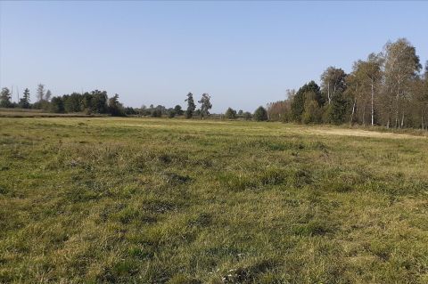Sprzedaż Działka Jagodnia, pow. siedlecki