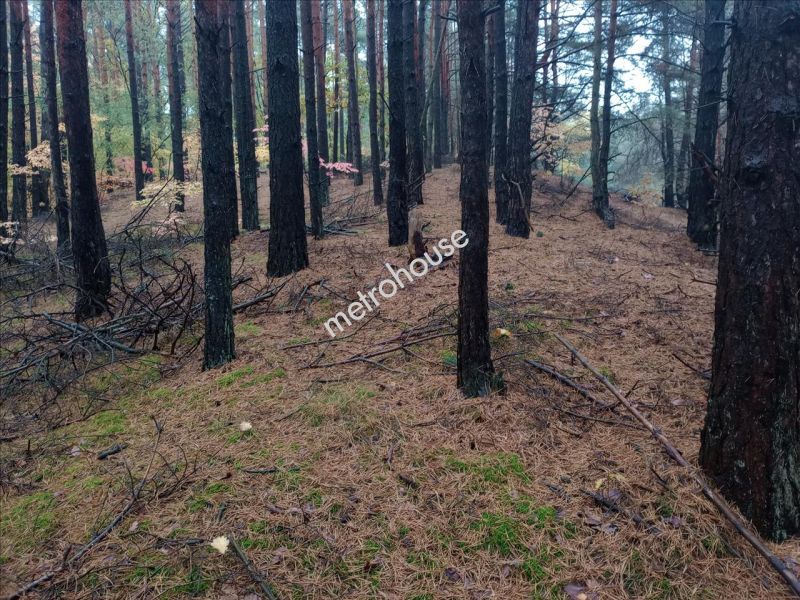 Działka na sprzedaż, Wyszkowski, Popowo-Parcele