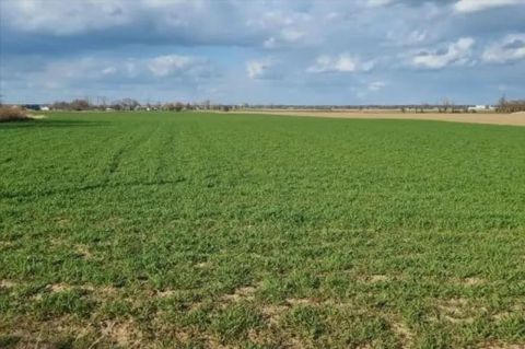 Sprzedaż Działka Piotrów, pow. kielecki