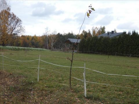 Sprzedaż Działka Wężyk, pow. grodziski