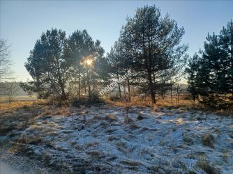 Działka na sprzedaż, Zgierski, Stary Adamów