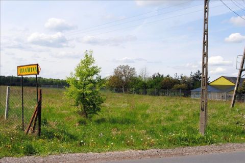 Sprzedaż Działka Bolimów, pow. skierniewicki