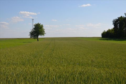 Sprzedaż Działka Wólka Jagielczyńska, pow. tomaszowski