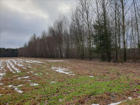 Sprzedaż Działka Wojnów, pow. siedlecki
