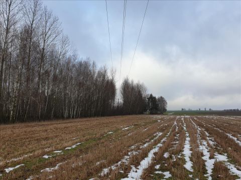 Sprzedaż Działka Wojnów, pow. siedlecki