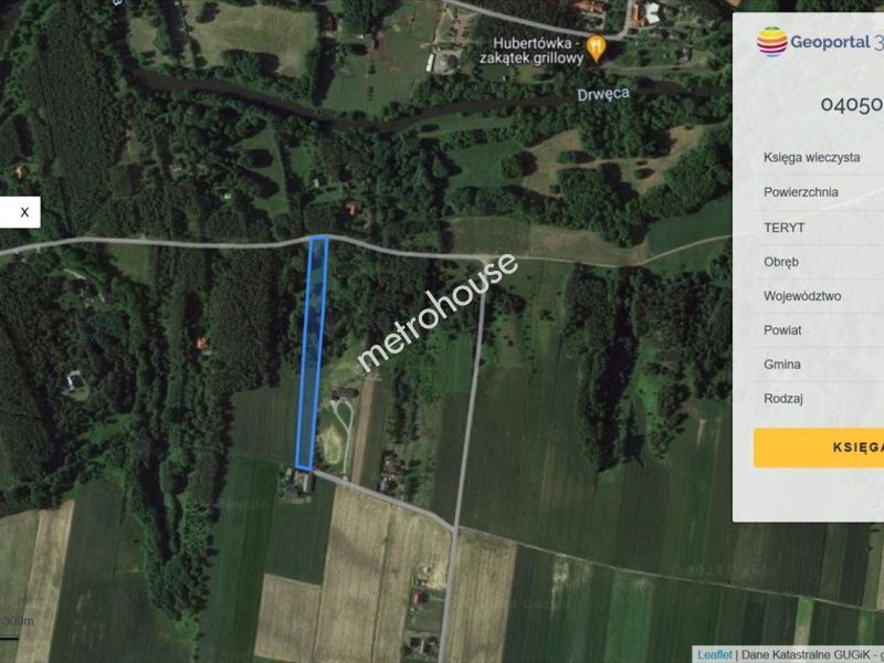 Działka na sprzedaż, Golubsko-Dobrzyński, Ciechocin