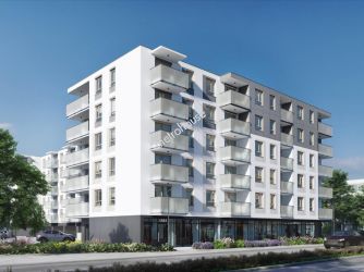 Lokal na wynajem, Siedlce