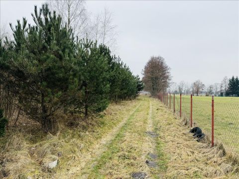 Sprzedaż Działka Budy Wolskie, pow. zgierski