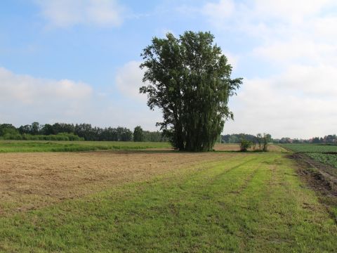 Sprzedaż Działka Ursynów, Warszawa