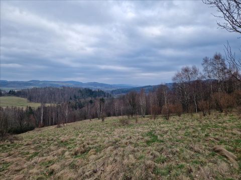 Sprzedaż Działka Siedlęcin, pow. jeleniogórski
