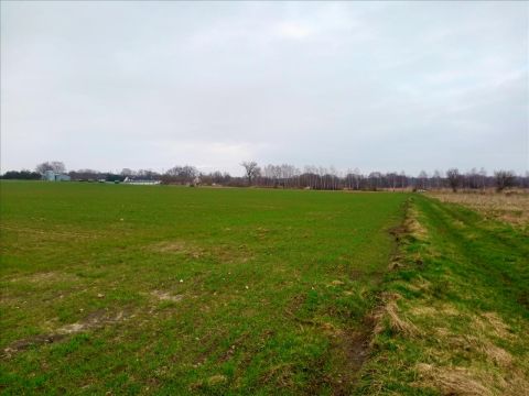Sprzedaż Działka Maleszowa, pow. kielecki