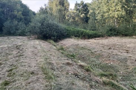Sprzedaż Działka Mokra, pow. skierniewicki