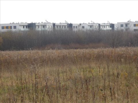 Sprzedaż Działka Pruszków
