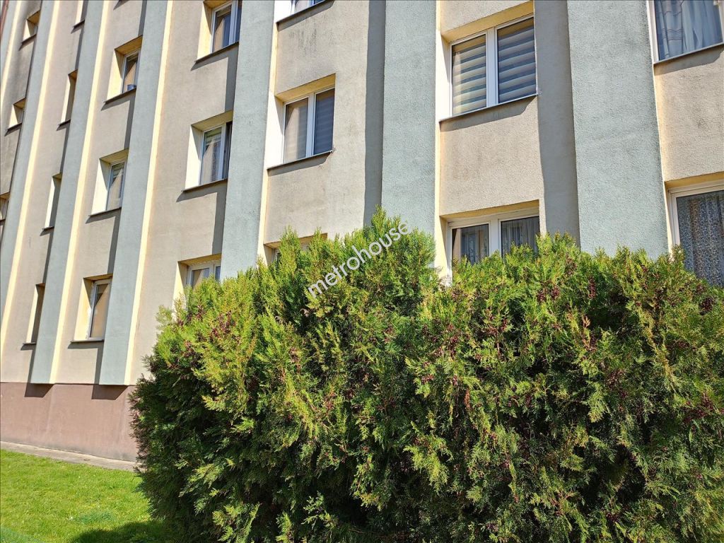 Flat  for rent, Skierniewice, Olszewskiej